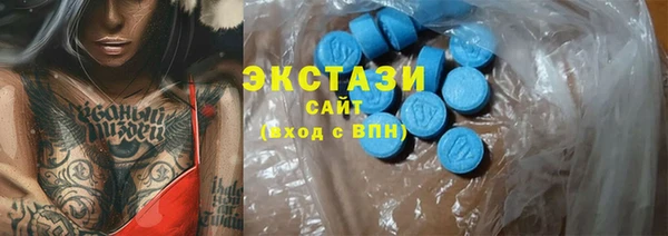 шишки Лабытнанги