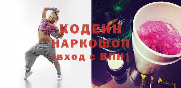шишки Лабытнанги