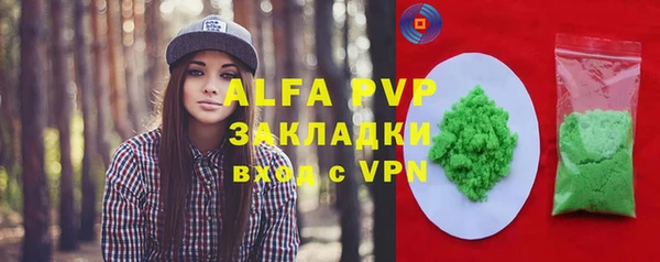 шишки Лабытнанги