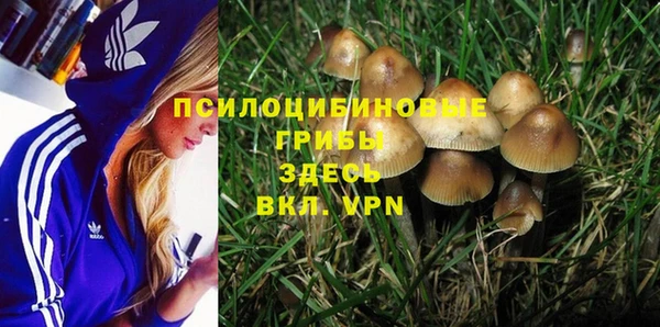 шишки Лабытнанги