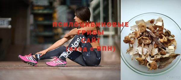 ГАЛЛЮЦИНОГЕННЫЕ ГРИБЫ Ладушкин