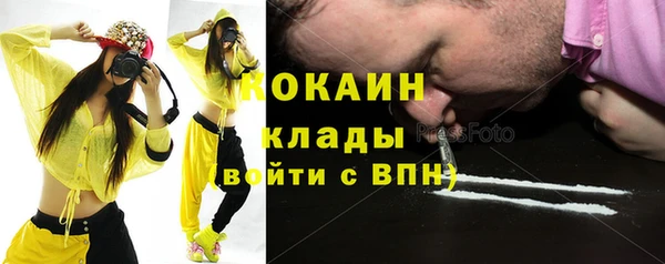 шишки Лабытнанги