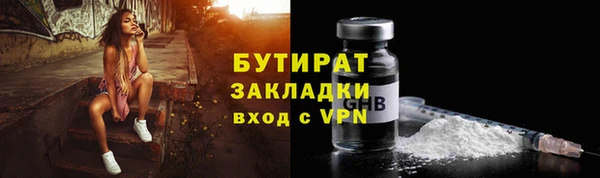 шишки Лабытнанги