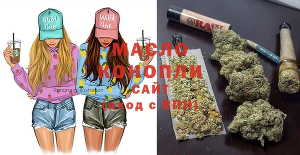 шишки Лабытнанги