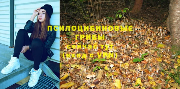 ГАЛЛЮЦИНОГЕННЫЕ ГРИБЫ Ладушкин