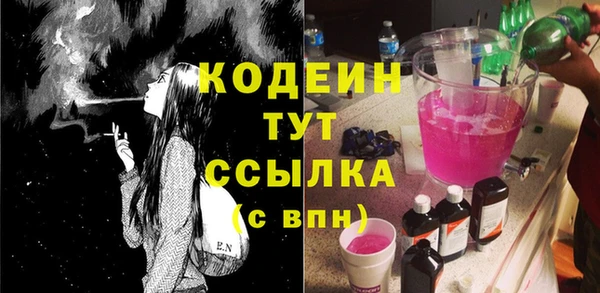 шишки Лабытнанги