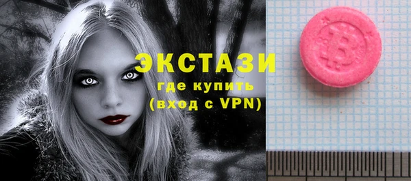 шишки Лабытнанги
