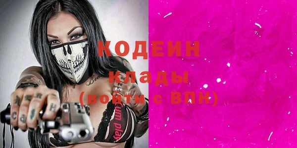 шишки Лабытнанги