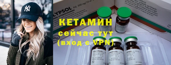 шишки Лабытнанги