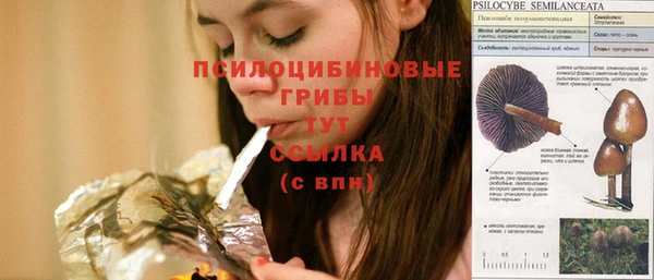 шишки Лабытнанги