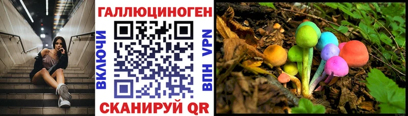 Галлюциногенные грибы Cubensis  что такое   Плавск 
